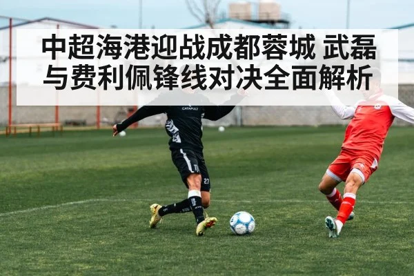 中超海港迎战成都蓉城 武磊与费利佩锋线对决全面解析