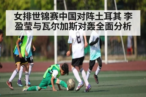 女排世锦赛中国对阵土耳其 李盈莹与瓦尔加斯对轰全面分析